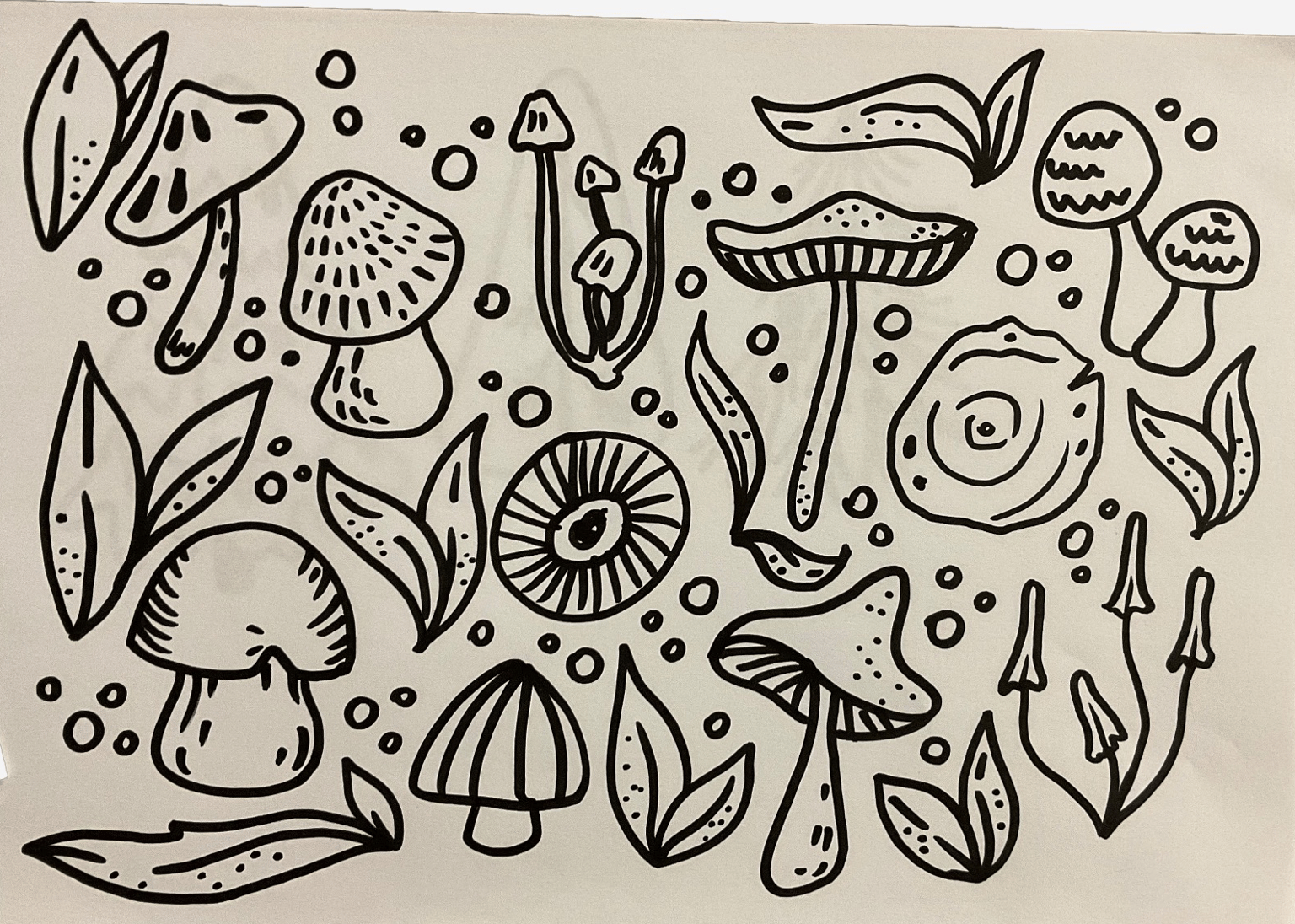 Mushrooms & Ferns - my assets - image 1 - student project