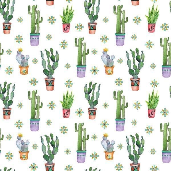 Protea art print and cacti pattern :) - image 3 - student project