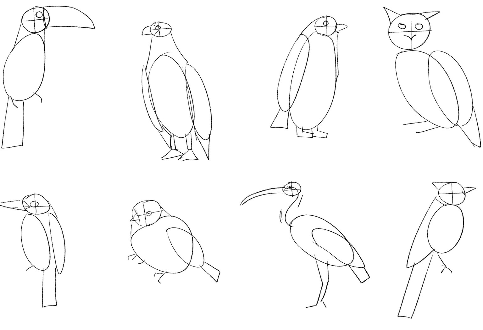My birds - image 3 - student project