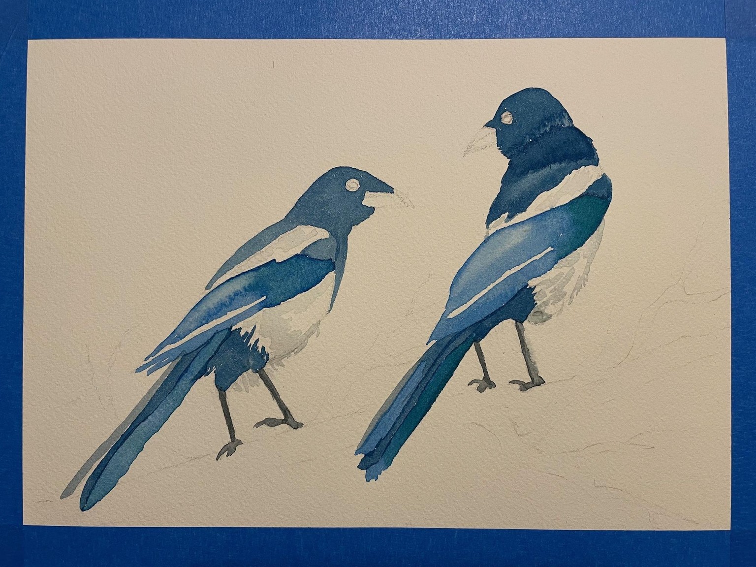 Magpies in watercolor - image 1 - student project