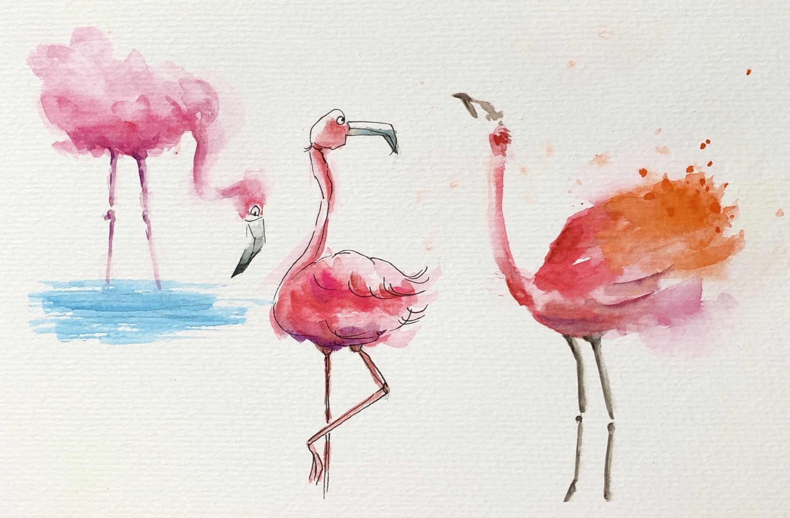 Flamingo - image 1 - student project