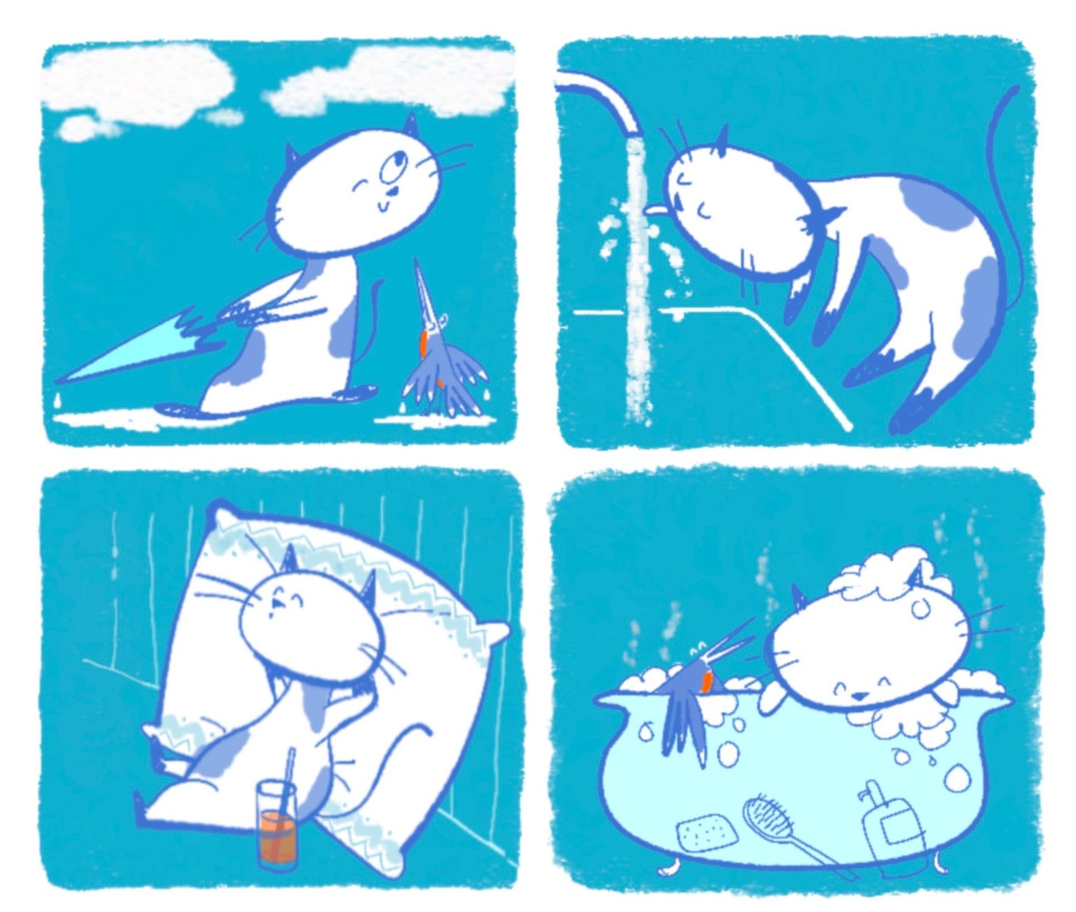 cat and kingfisher - image 2 - student project