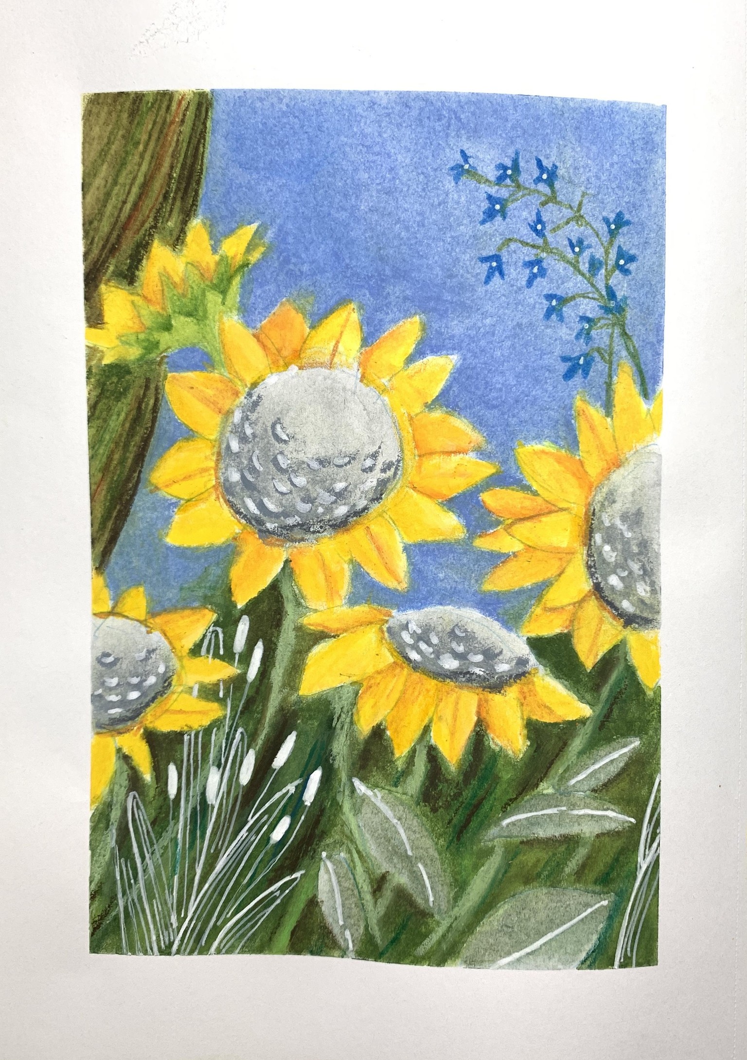 Sunflower - image 1 - student project