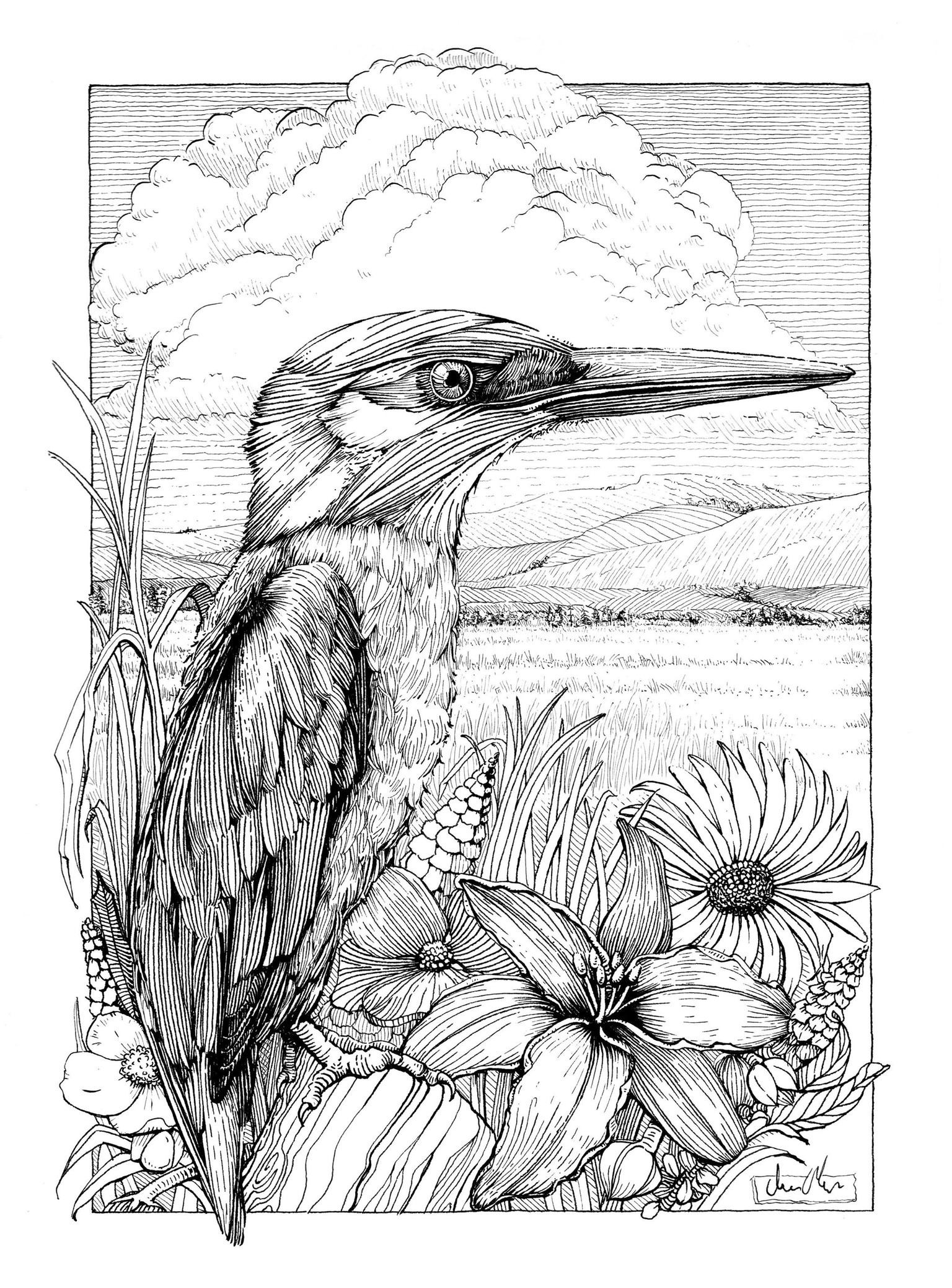 Dip Pens and Ink Realistic Drawing Project - image 1 - student project