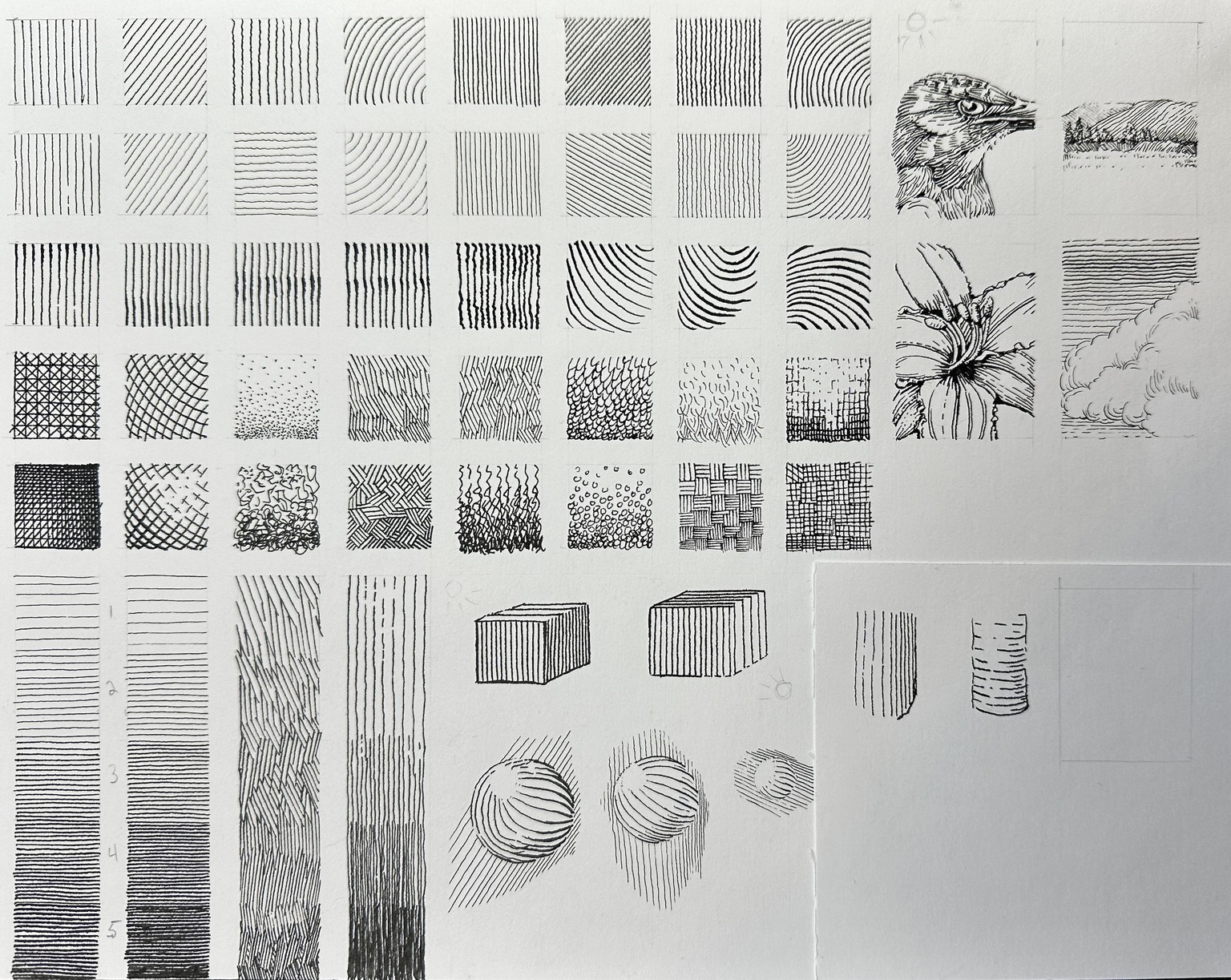 Dip Pens and Ink Realistic Drawing Project - image 2 - student project
