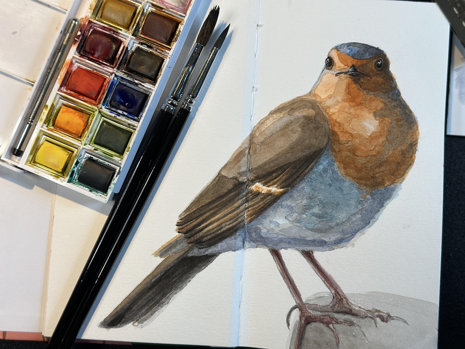Song Birds in Watercolour with Louise - image 1 - student project