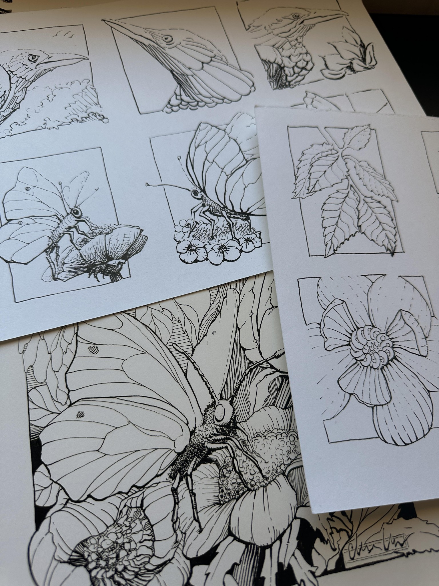 Rendering in Pen and Ink Final Composition - image 2 - student project