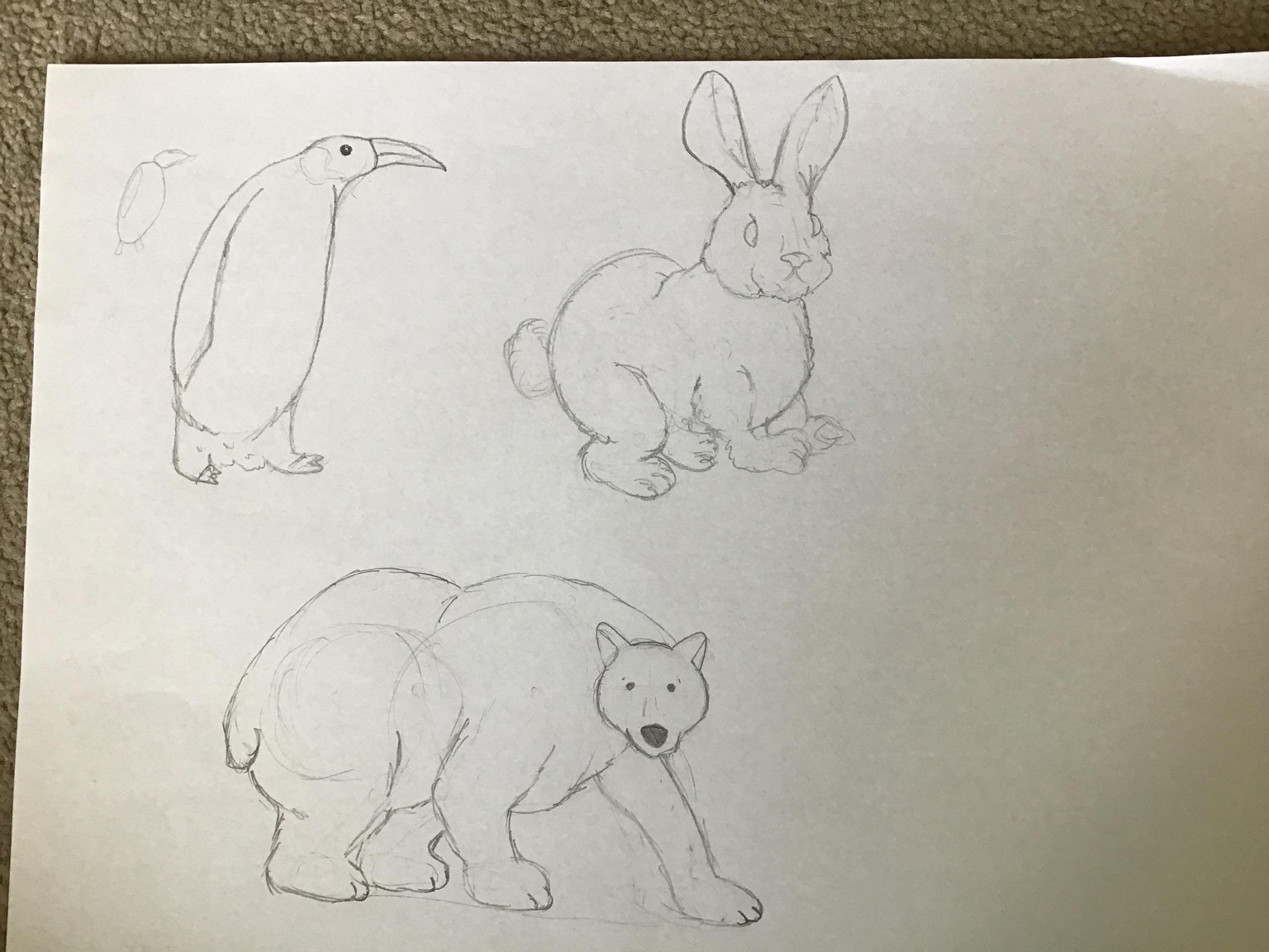 My animals - image 2 - student project