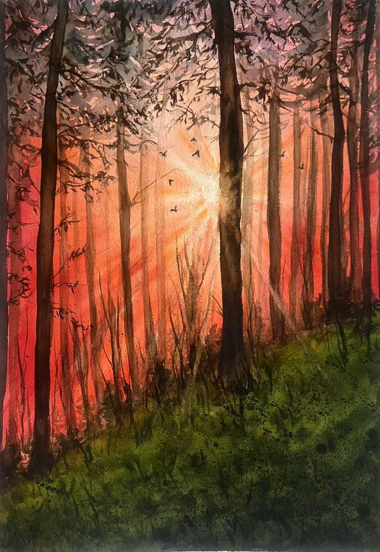 Into the woods - image 2 - student project