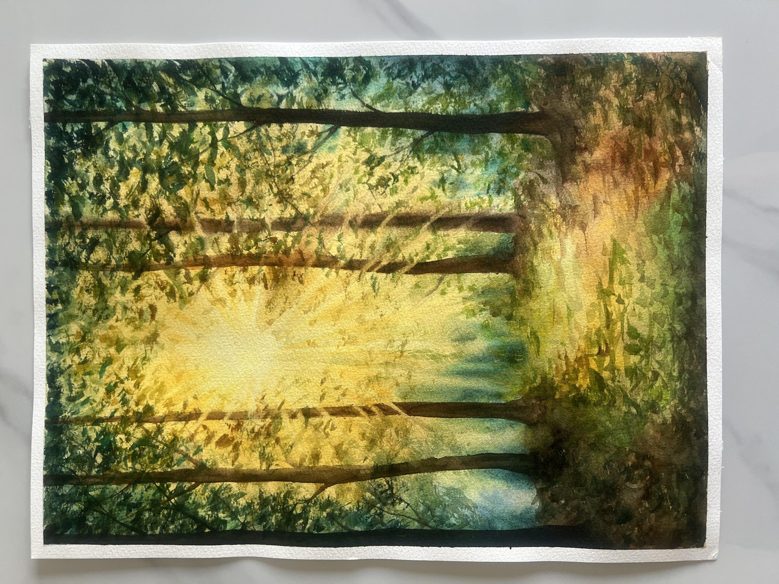 Sunlit trees - image 1 - student project