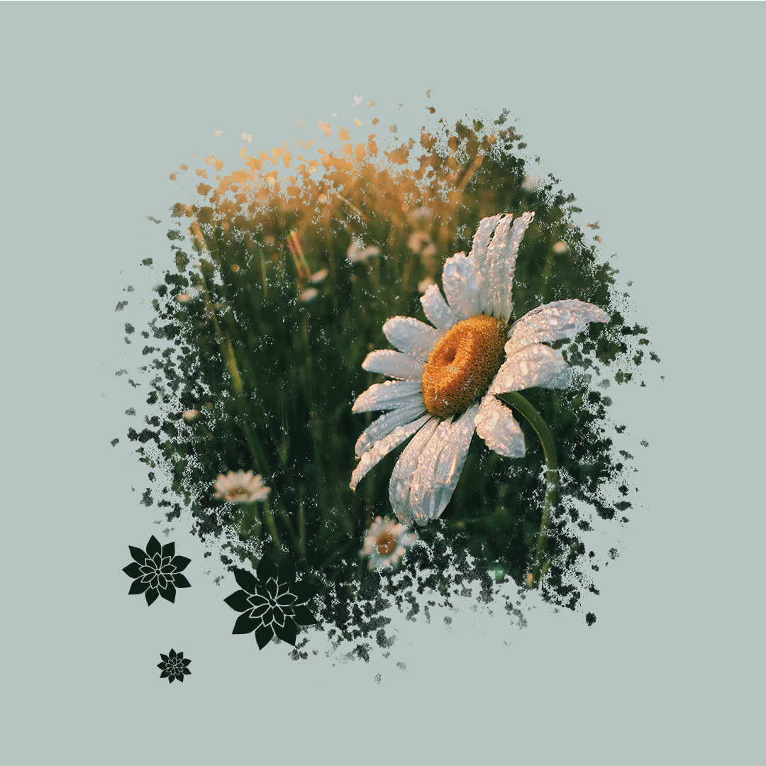 Social Media Visuals - image 2 - student project