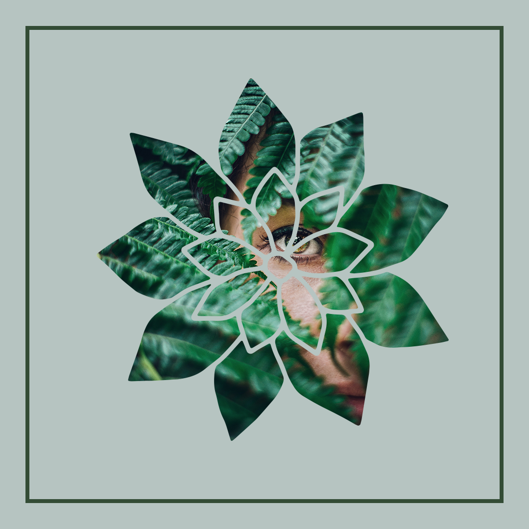 Social Media Visuals - image 4 - student project