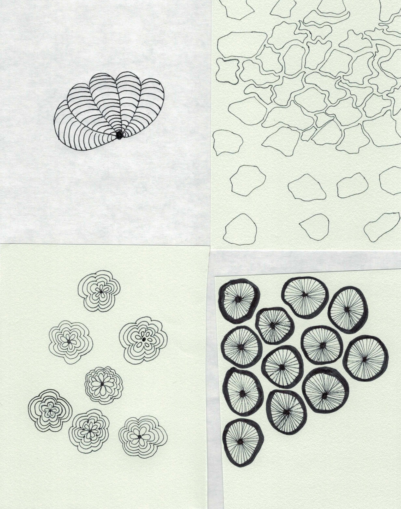 Patterns from Nature---Meditative Doodling - image 1 - student project