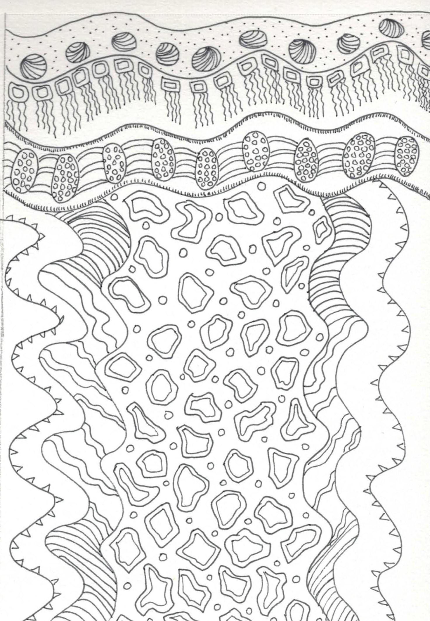Patterns from Nature---Meditative Doodling - image 2 - student project