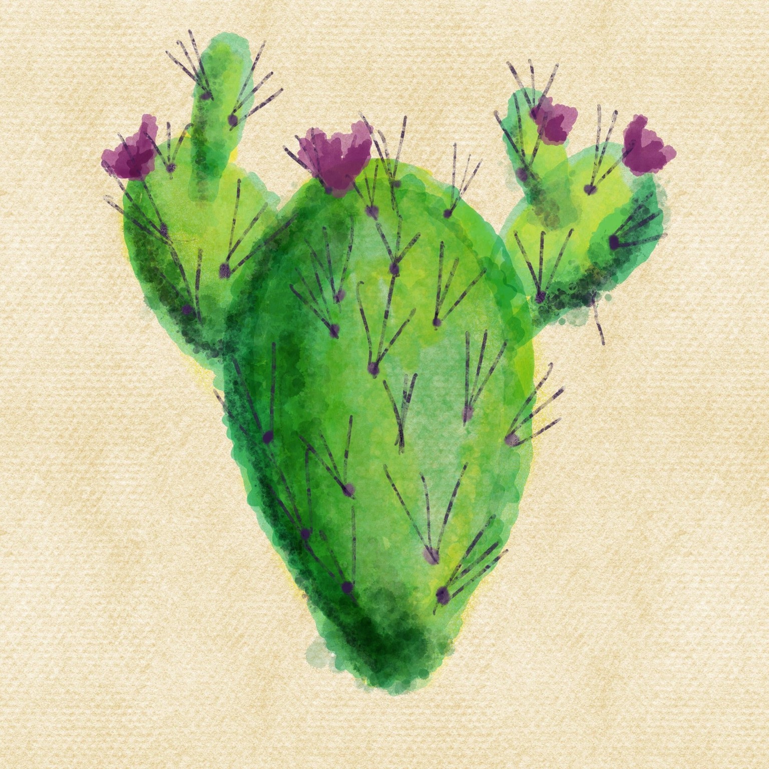 Cactus - image 1 - student project