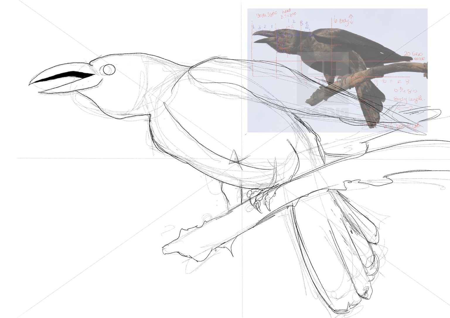 Crow for Feathered Friends course - image 2 - student project