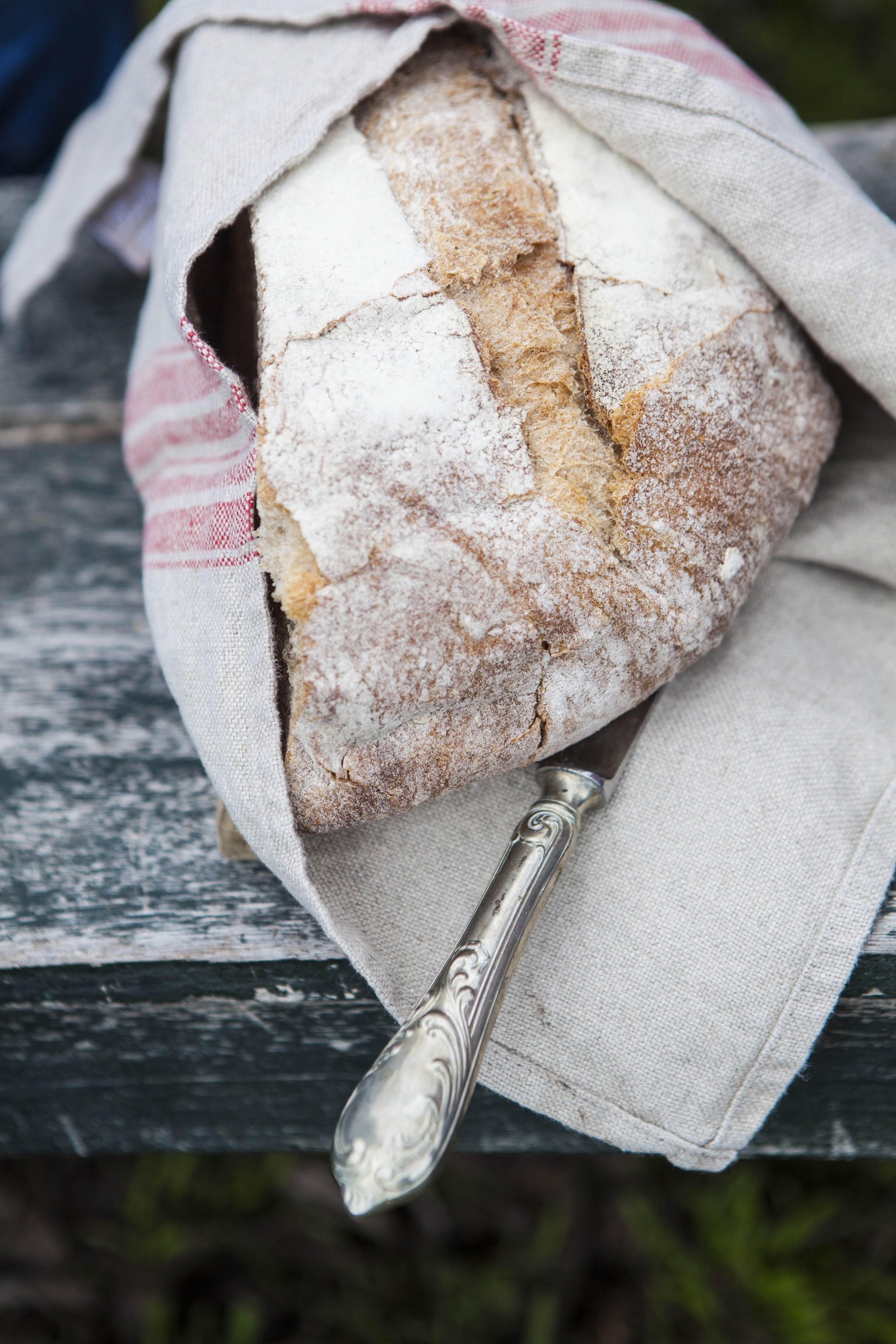 argentinean feast  - image 2 - student project