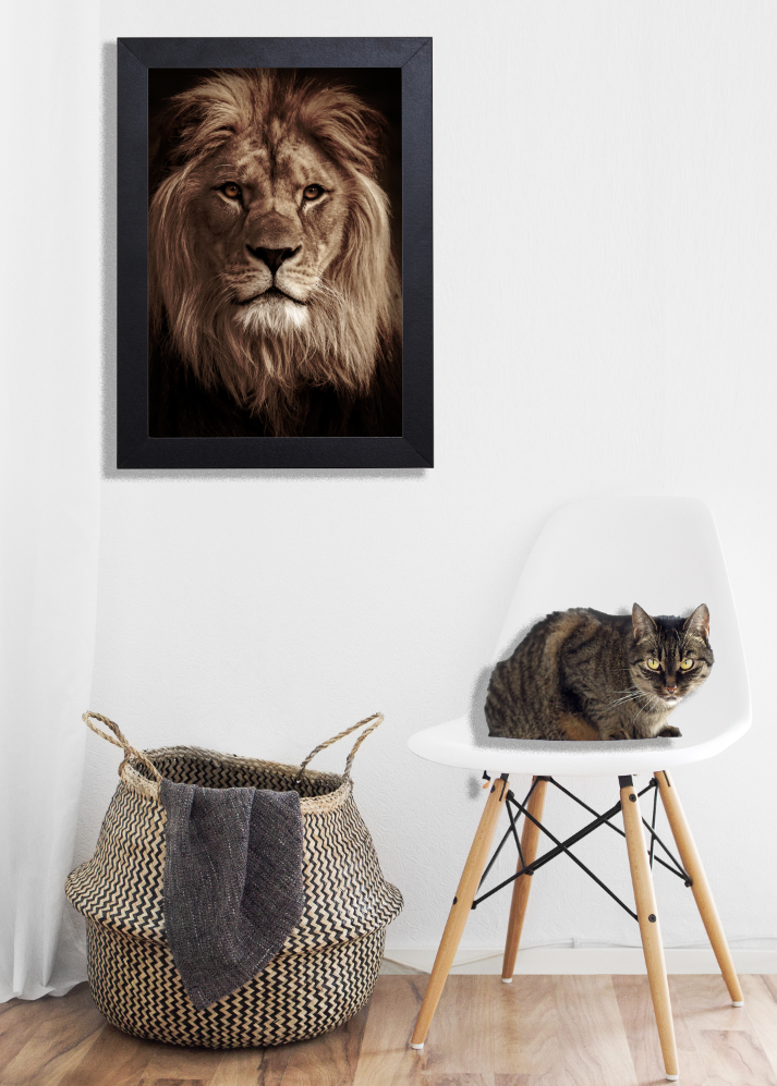 PHOTOSHOP PROJECTS - image 2 - student project
