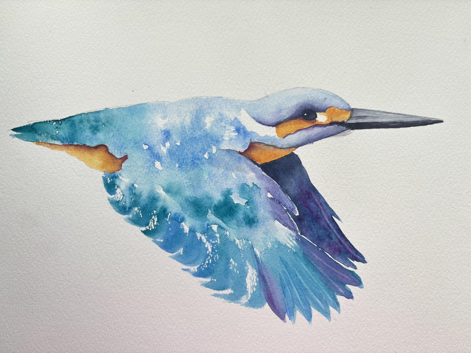 Kingfisher - image 1 - student project