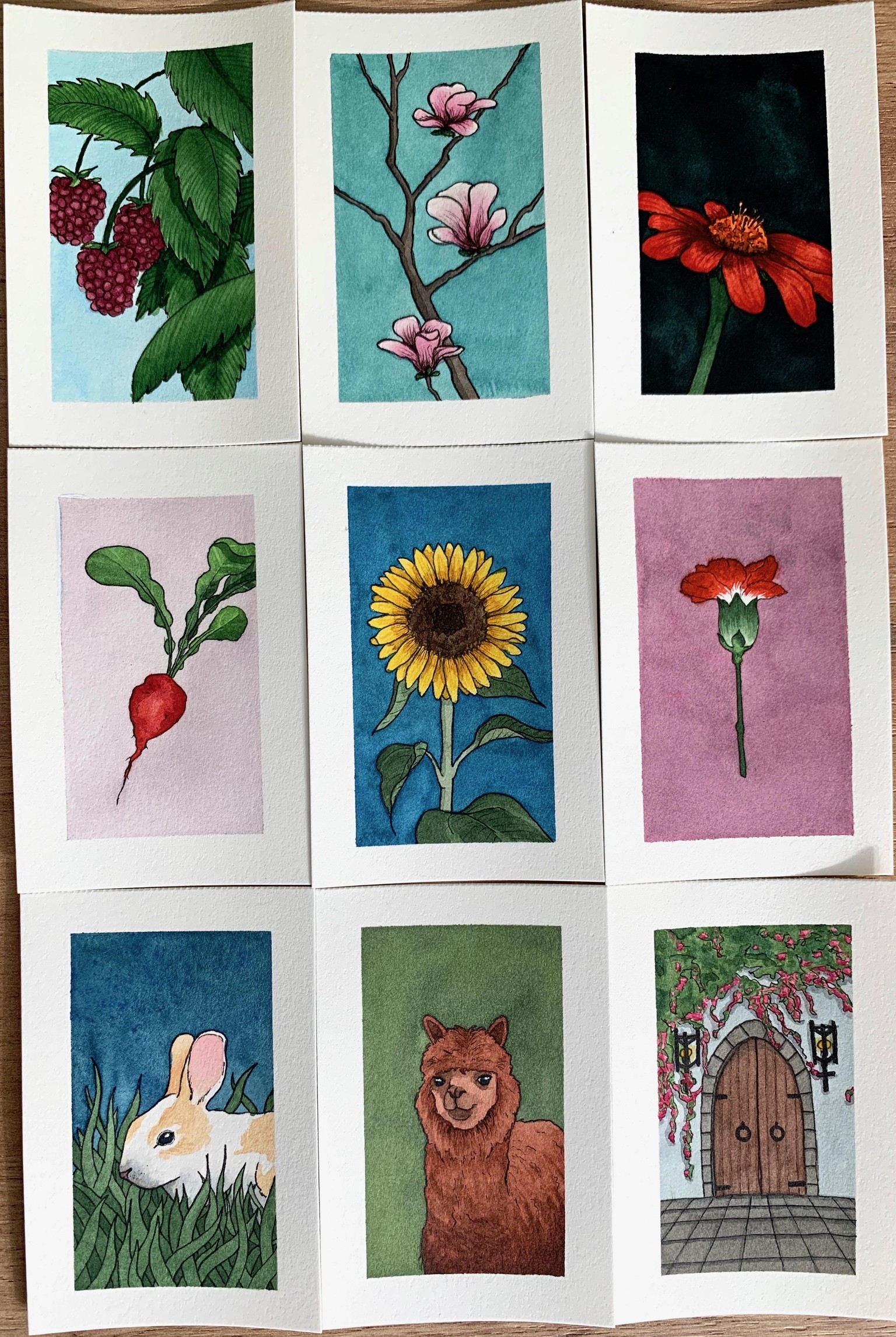 100 Days of Small Illustrations - Finished - image 17 - student project