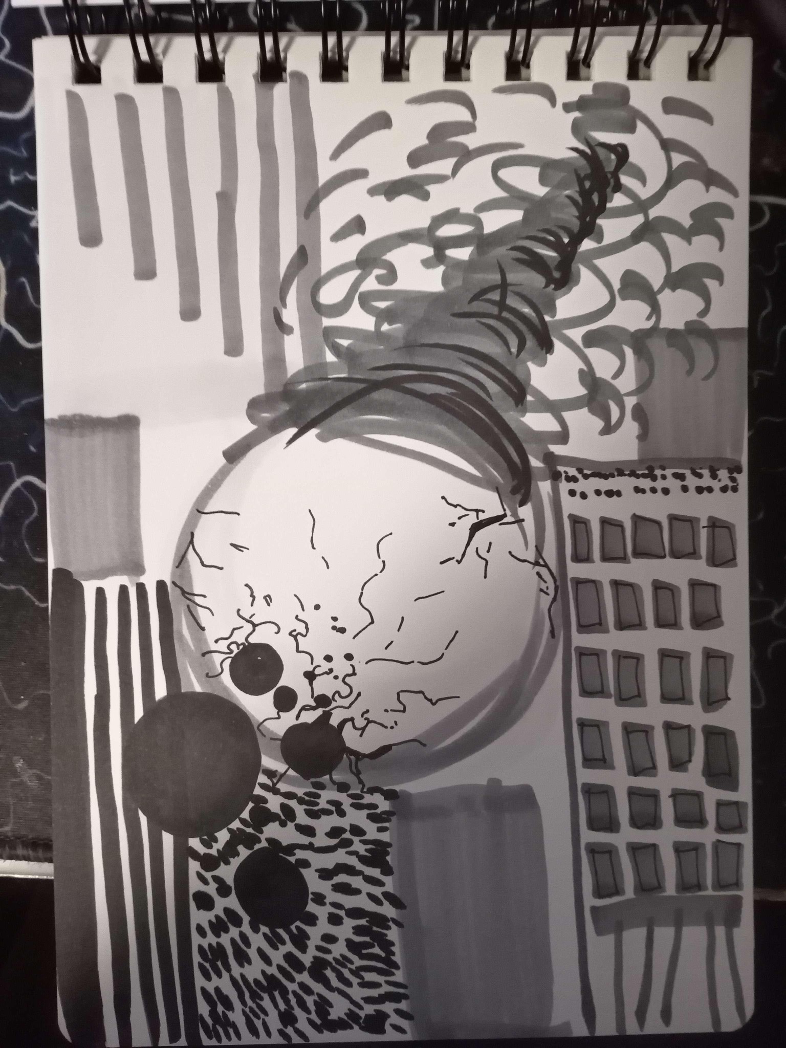 My 10 Creative Excercises - image 11 - student project