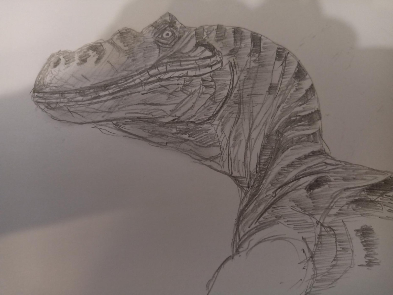 dragonheads - image 1 - student project