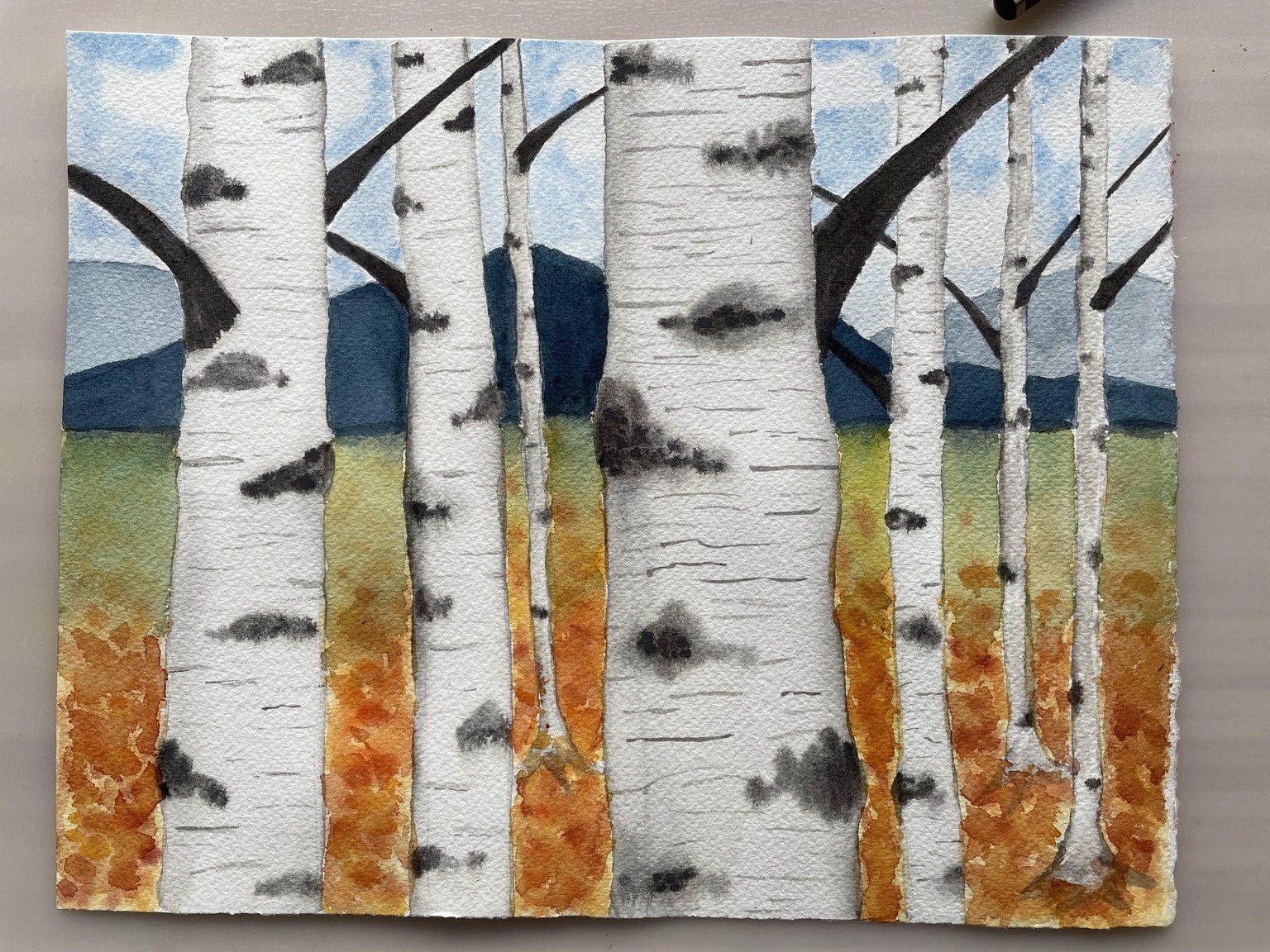 Birch Trees - image 1 - student project