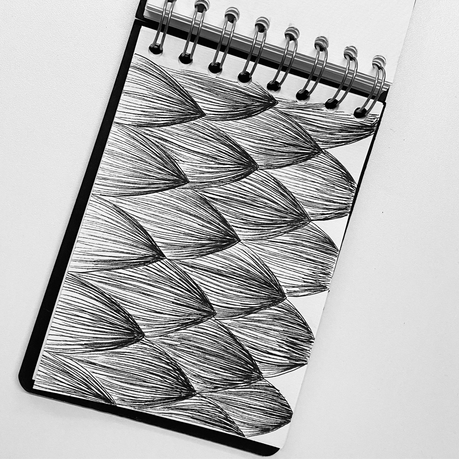 Zen Challenge - 45 Days completed! - image 41 - student project