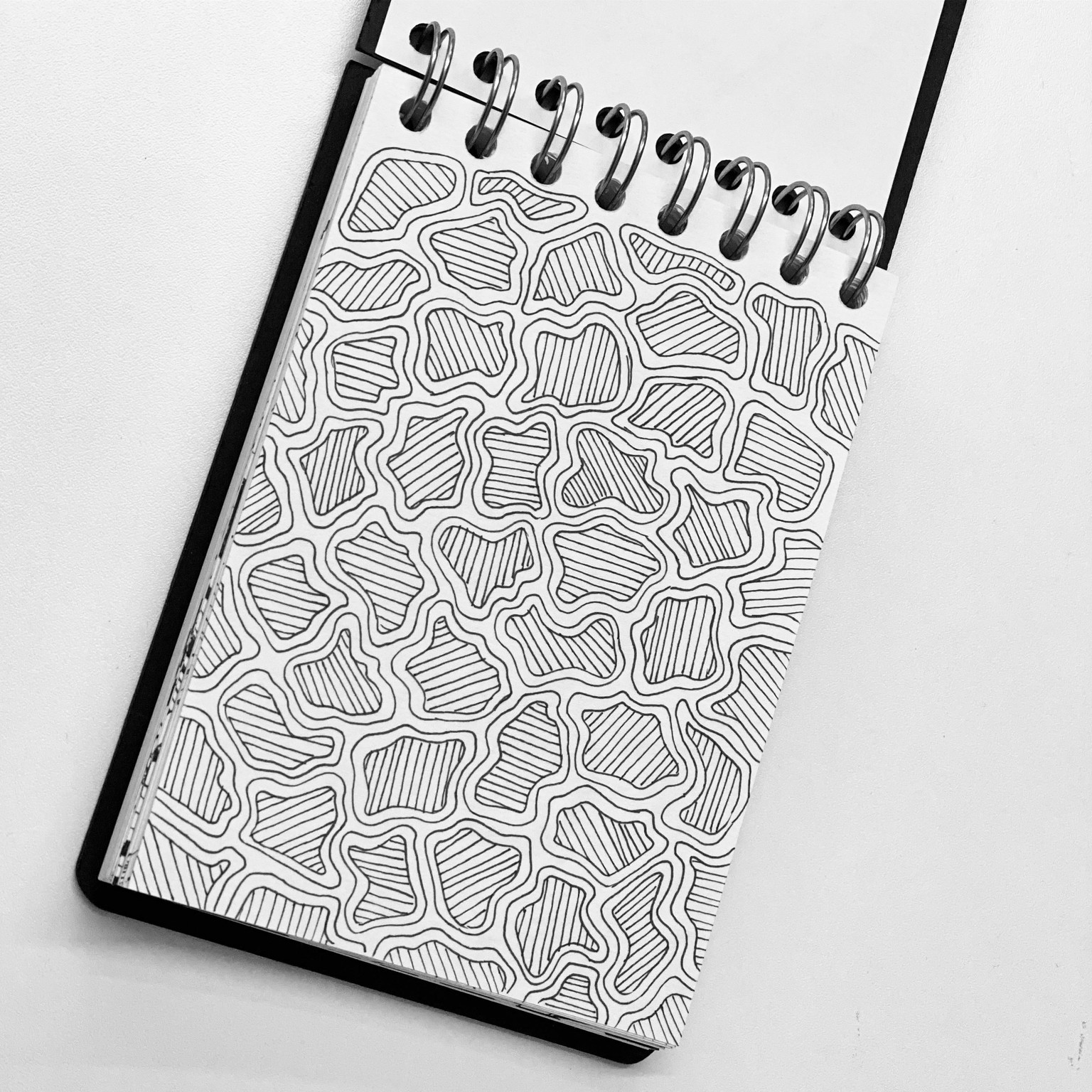 Zen Challenge - 45 Days completed! - image 1 - student project