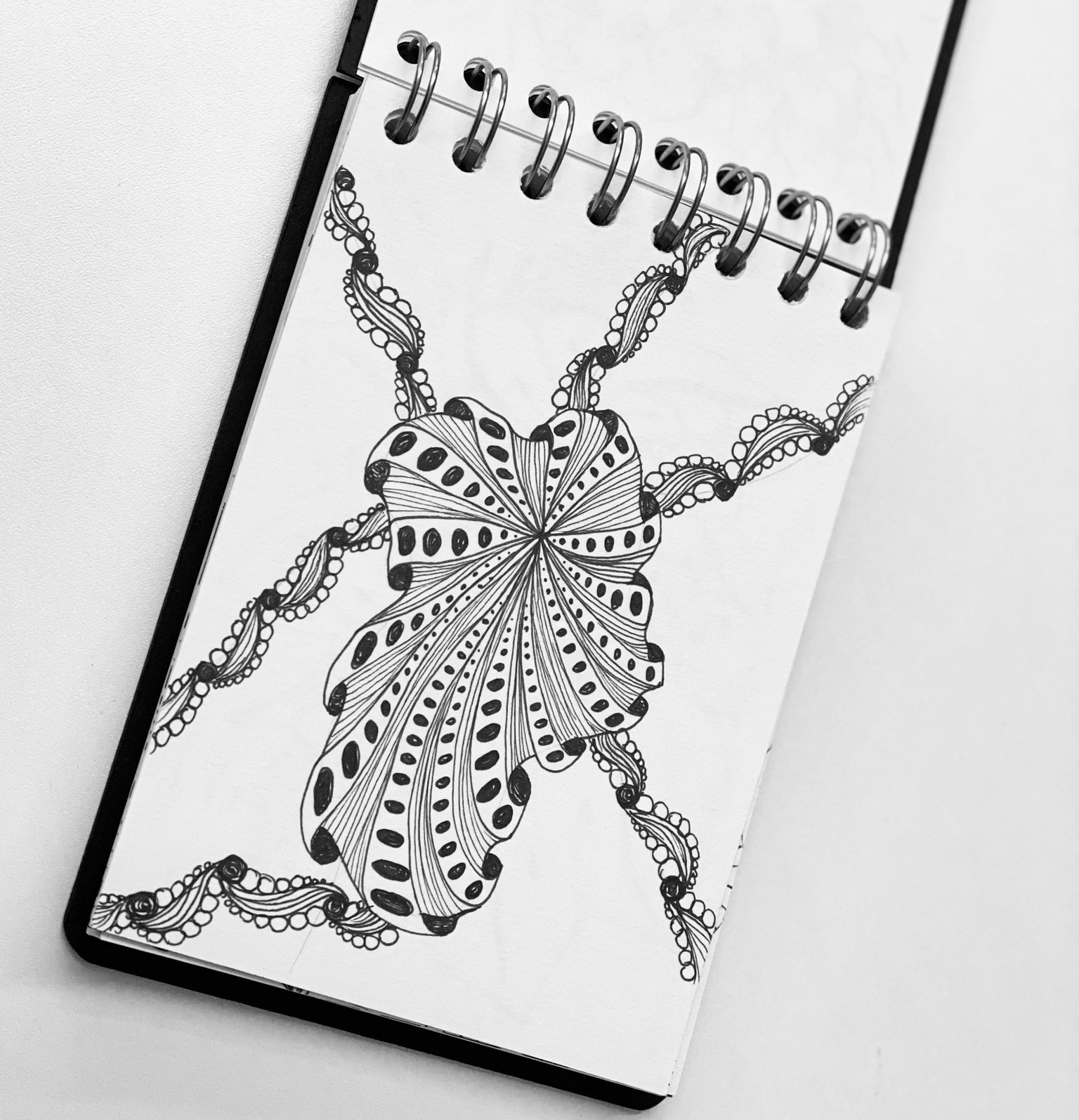 Zen Challenge - 45 Days completed! - image 3 - student project