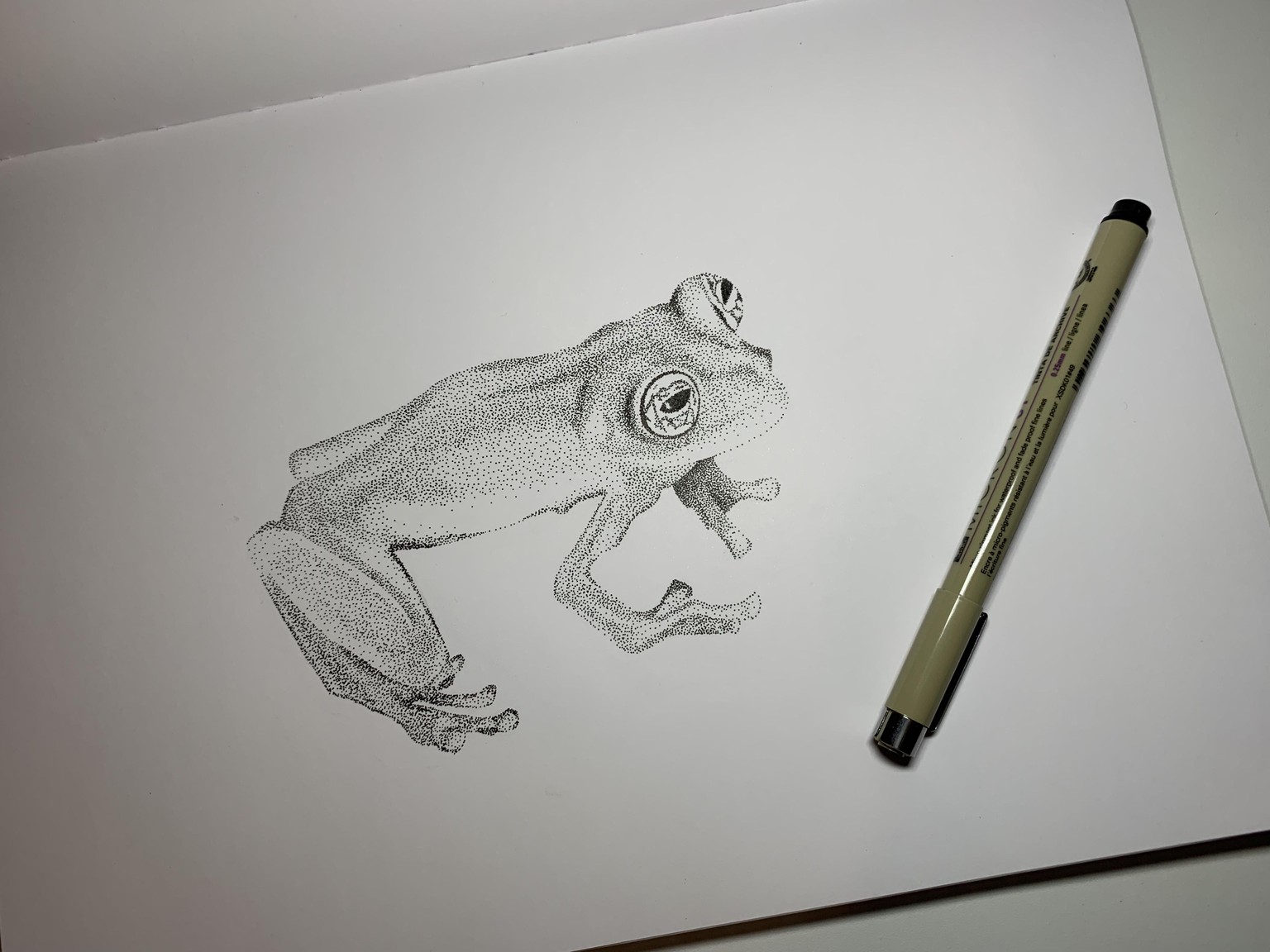 Limon Giant Glass Frog - image 1 - student project