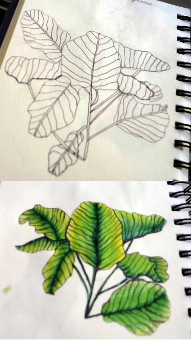 Leaves ~ Line Drawings for Beginners - image 1 - student project