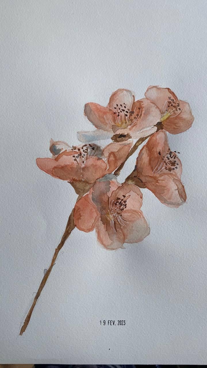 Cherry Blossom - image 1 - student project