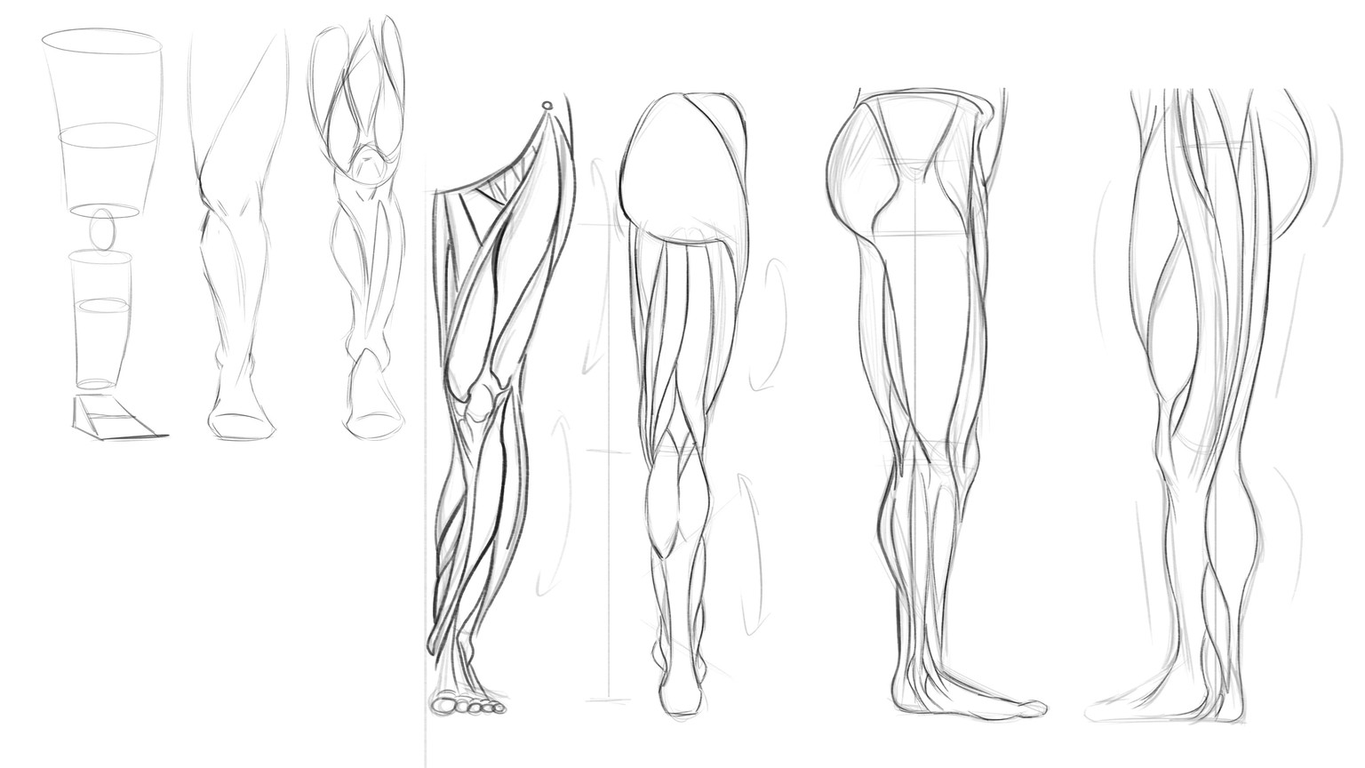 Leg anatomy for comics - image 2 - student project