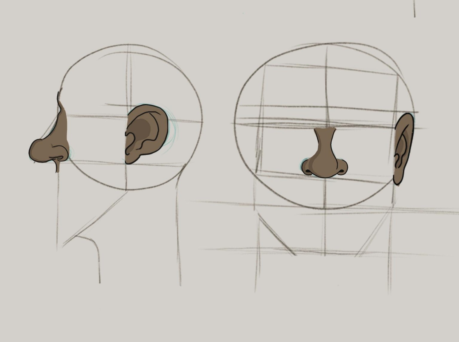 Noses and Ears - image 3 - student project