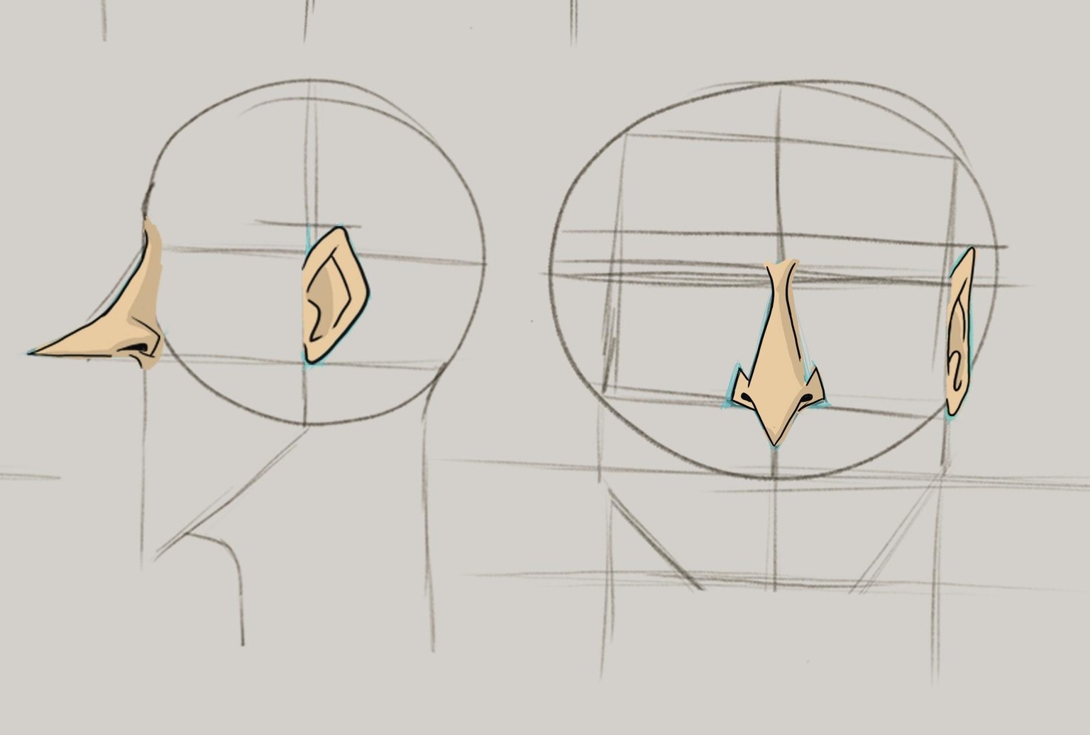 Noses and Ears - image 1 - student project