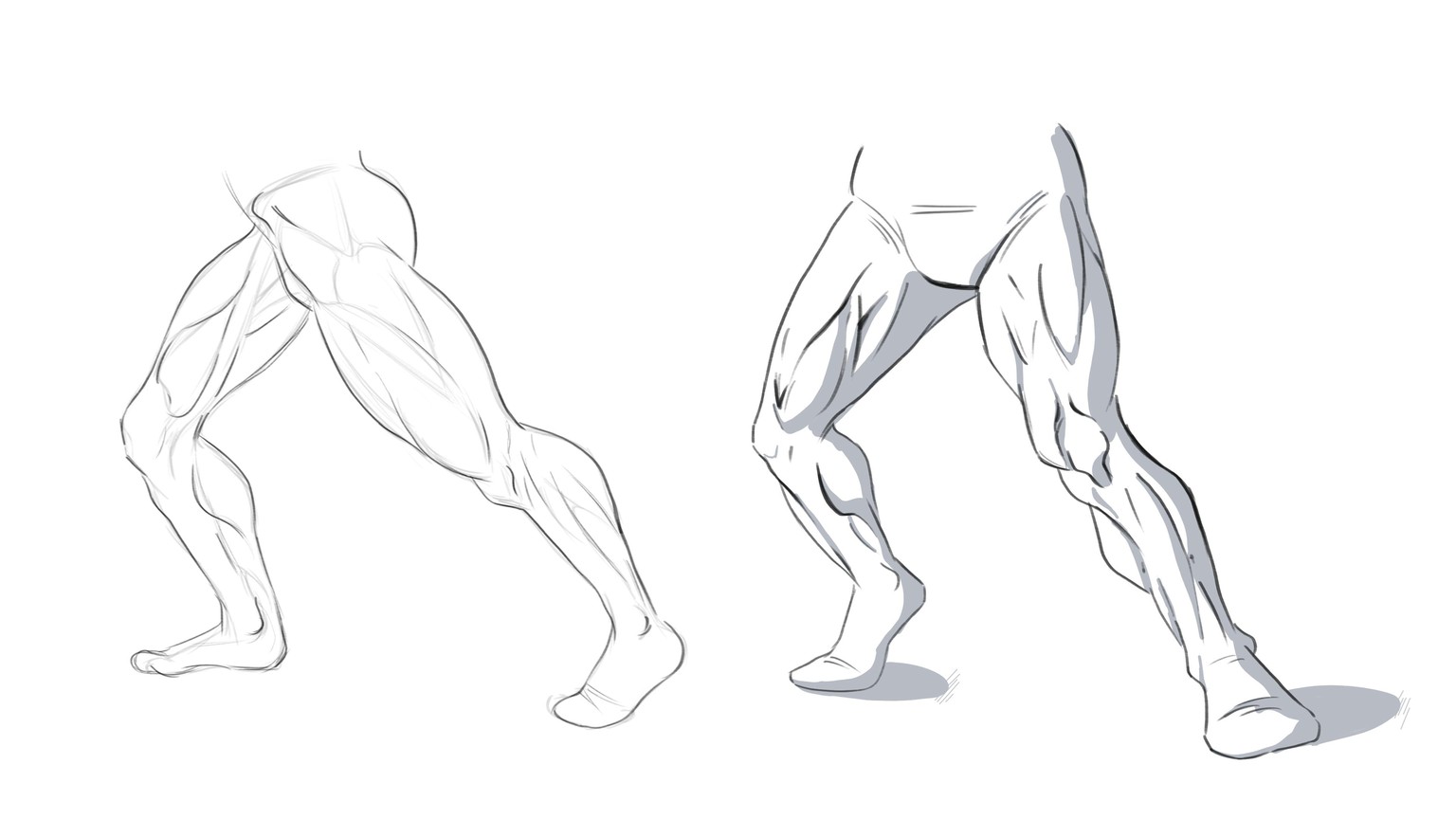 Leg anatomy for comics - image 1 - student project