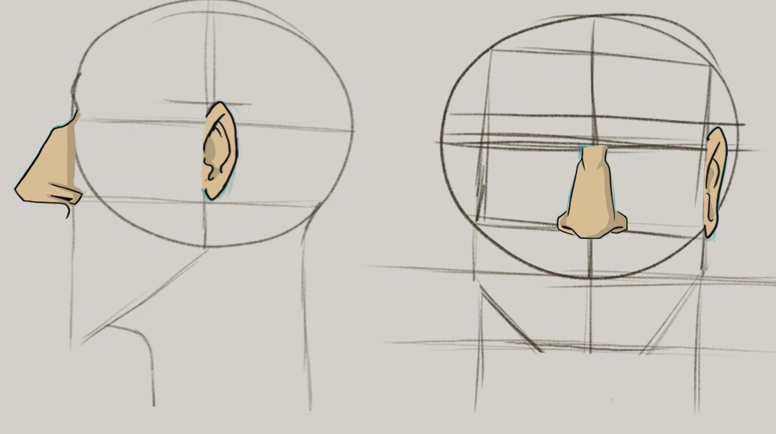Noses and Ears - image 2 - student project