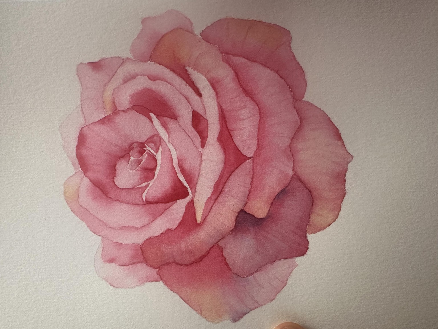 Botanical Rose - image 1 - student project