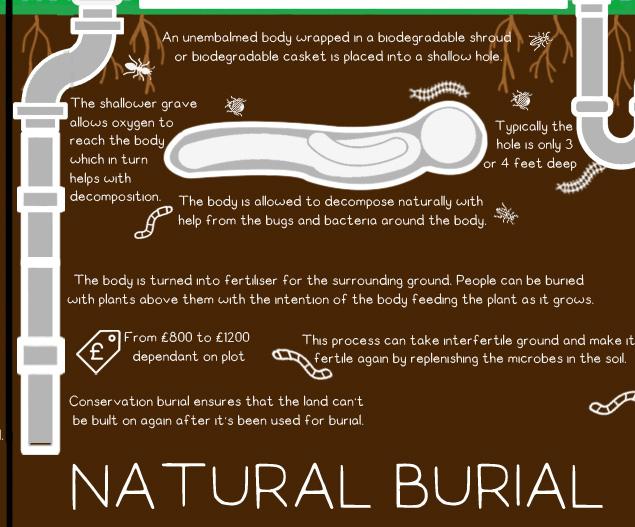 Environmental effects of funeral choises. - image 4 - student project