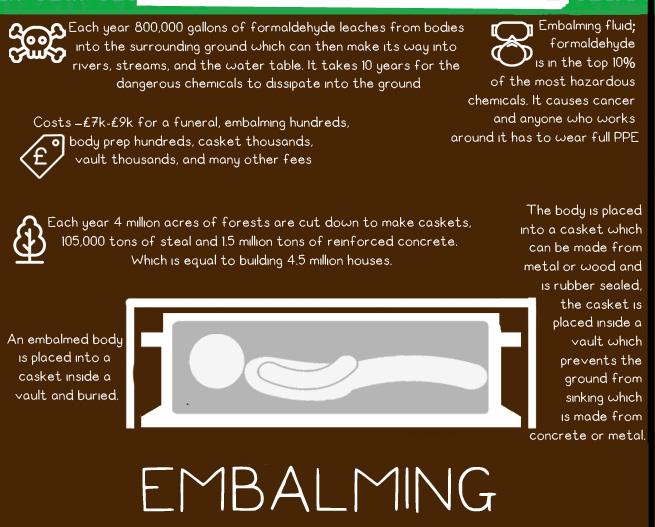 Environmental effects of funeral choises. - image 2 - student project