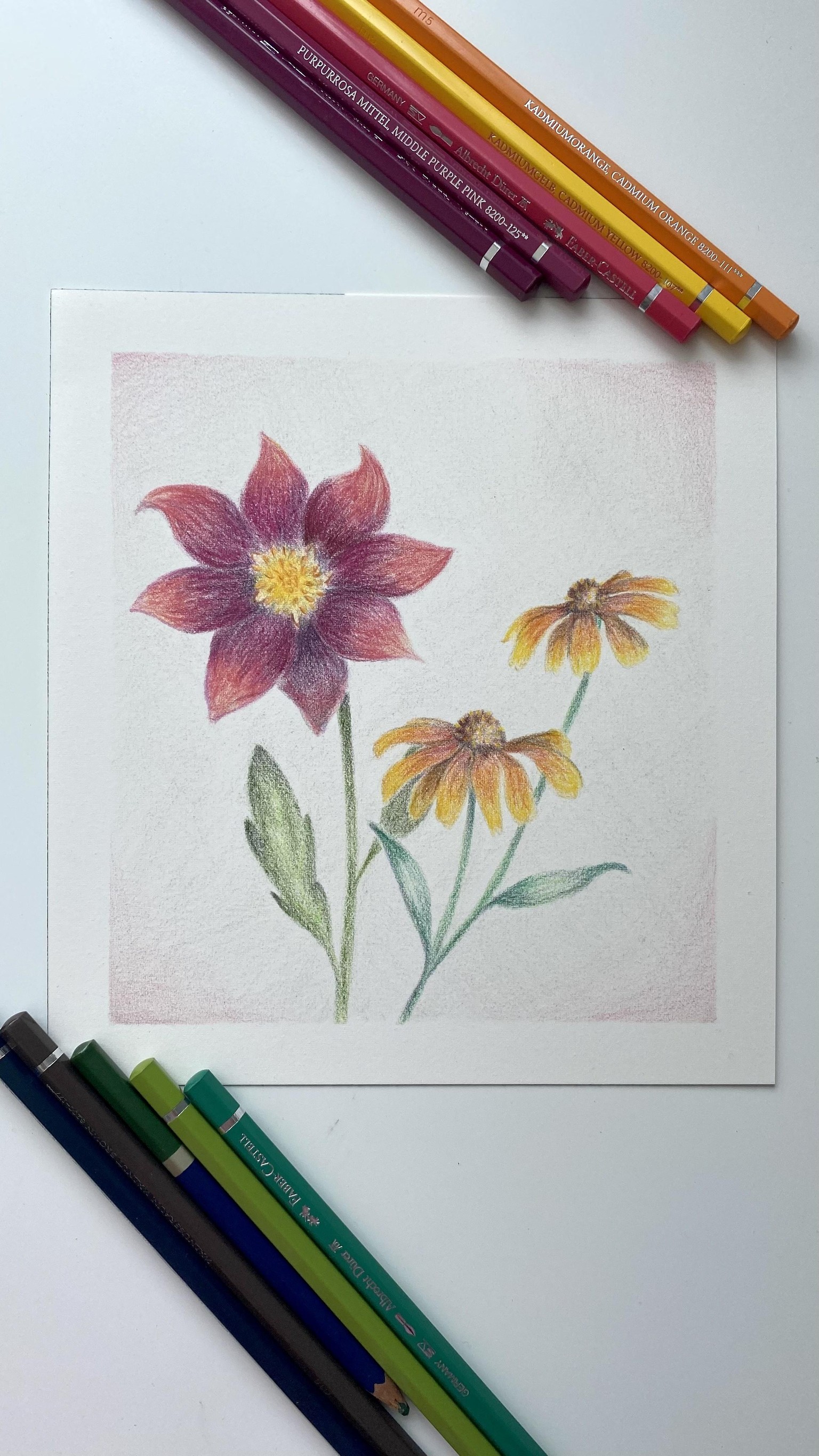 Wild flowers - image 1 - student project