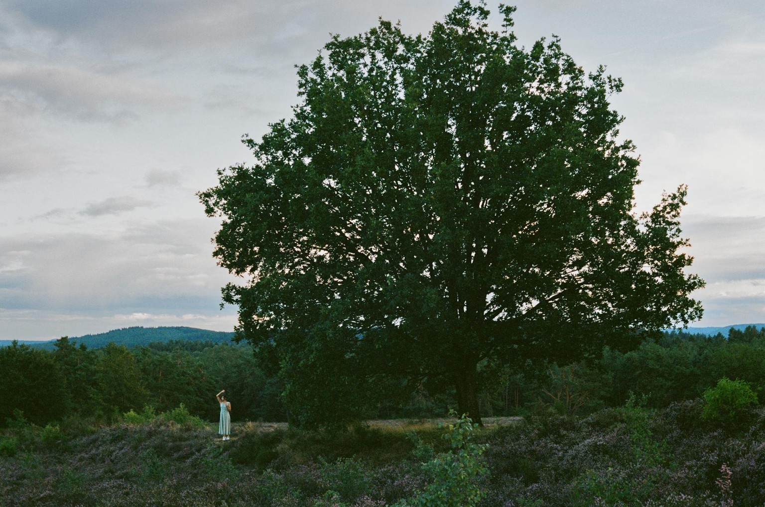 First roll of 35mm film - image 1 - student project