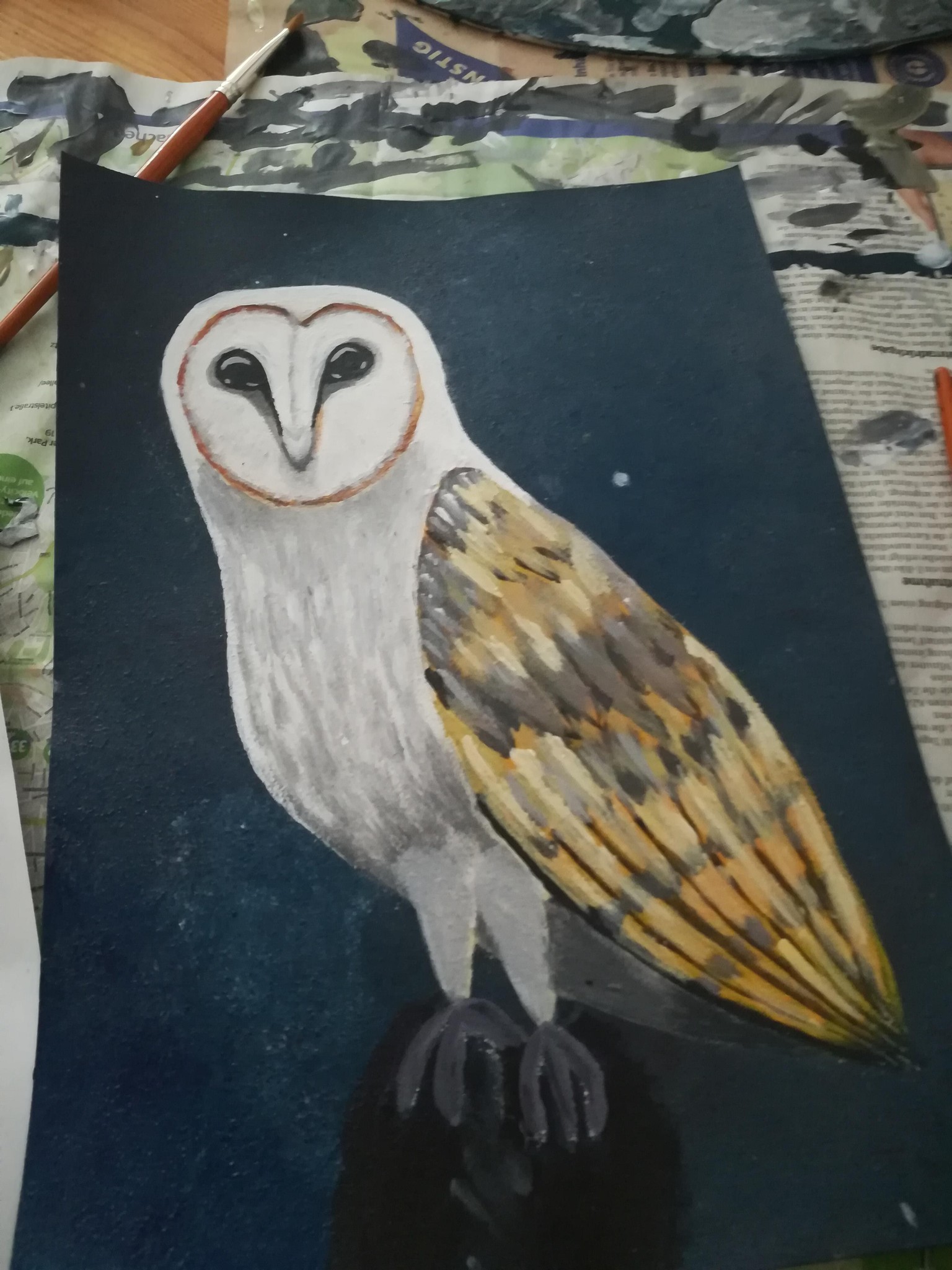 Night Owl - image 1 - student project