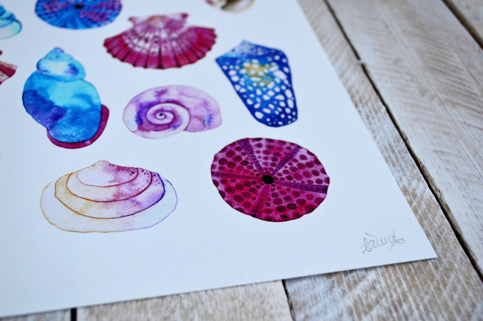My new Etsy shop: Art prints - image 3 - student project