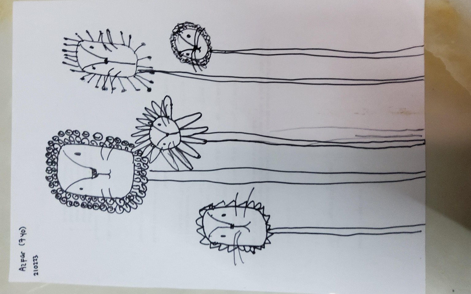 Azfar 7 yo - image 1 - student project