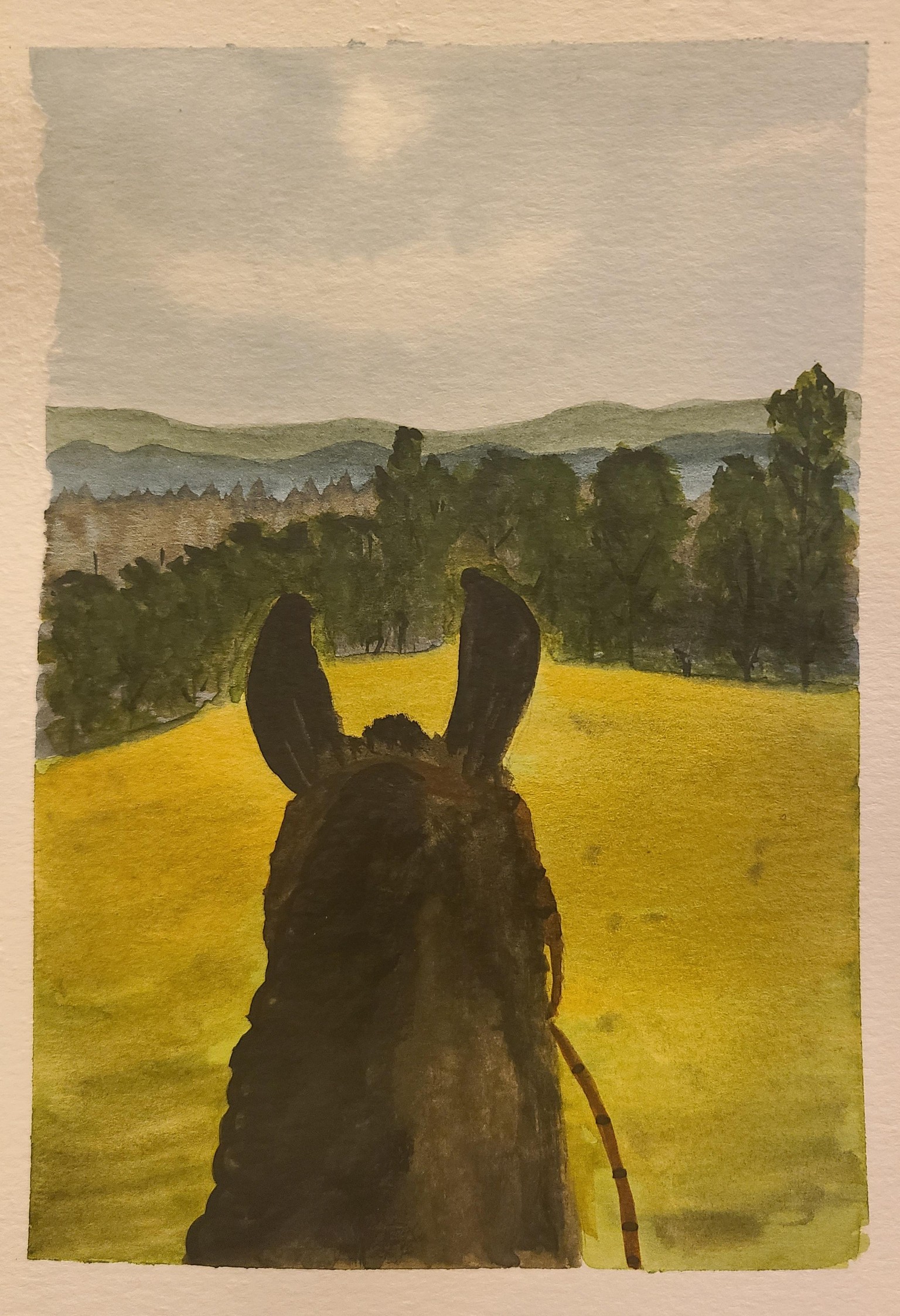 The view from heaven. .. - image 2 - student project