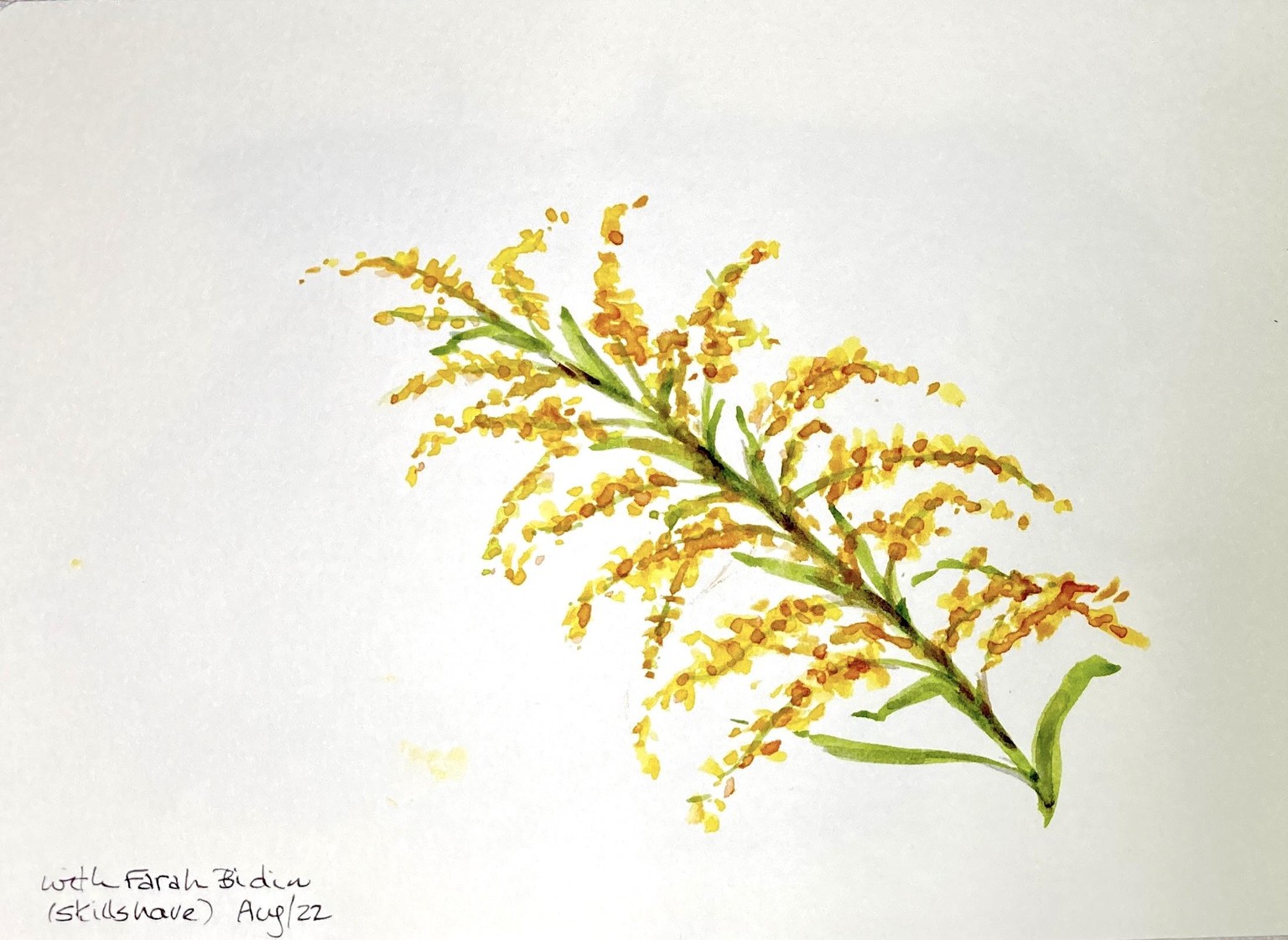 A few flowers - image 1 - student project