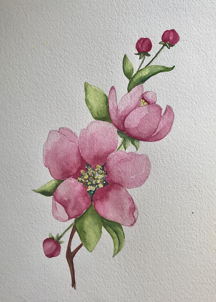 Spring flowers realistic - image 1 - student project