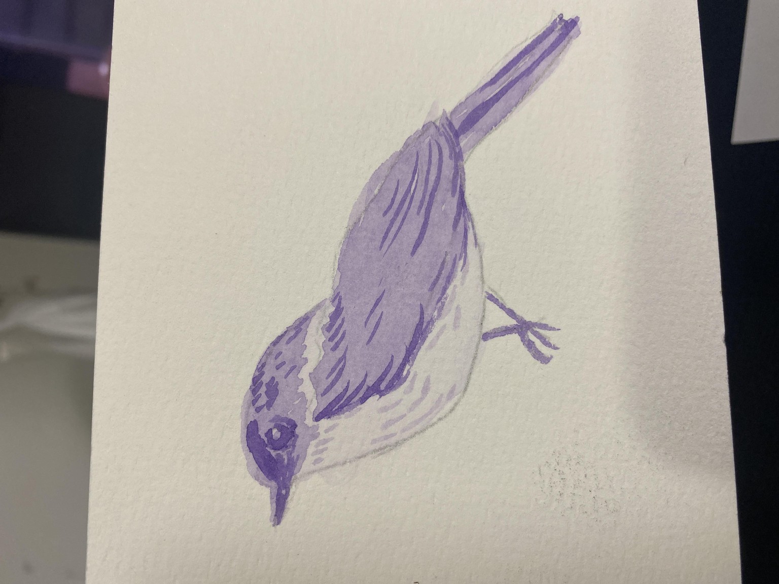 5 birds - image 1 - student project